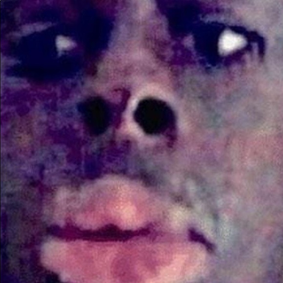 Meet your Posher, Efrain - Picture 1 of 1